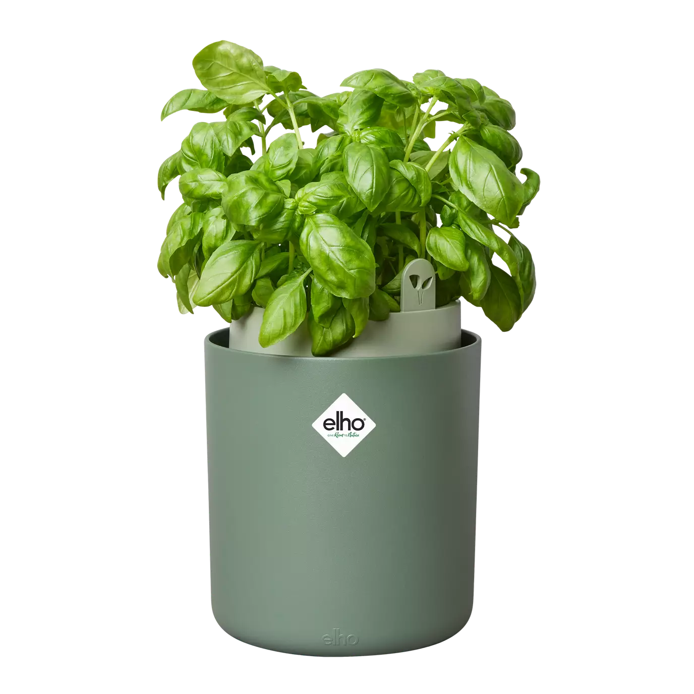 bouncy-basil-grow-pot-leaf-green-17cm-happy-houseplants