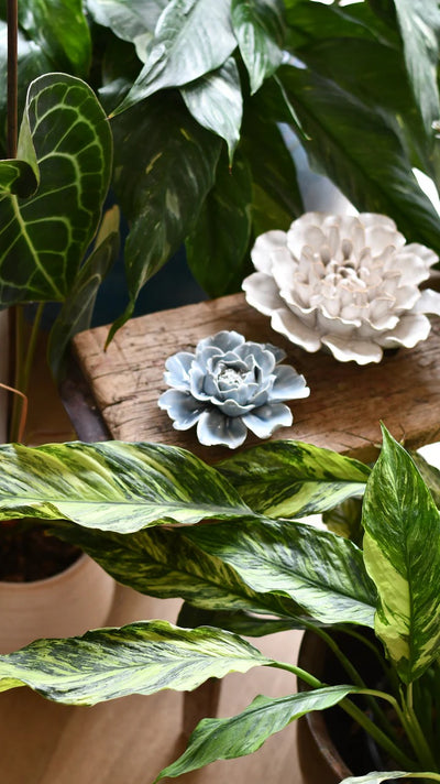 Professional Tips for Hanging and Displaying Your Ceramic Flowers