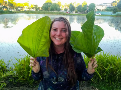 Exploring the Natural Wonders of Aquatic Habitats: An Interview with Juliana Leroy