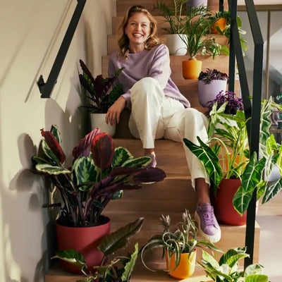 Shaking Up the Plant Pot Game: Meet elho