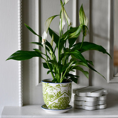 Fairford Green Porcelain Pot And Saucer Set With Drainage