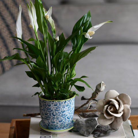 Tetbury Blue Porcelain Pot And Saucer Set With Drainage