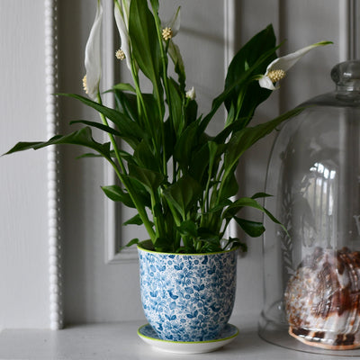 Tetbury Blue Porcelain Pot And Saucer Set With Drainage