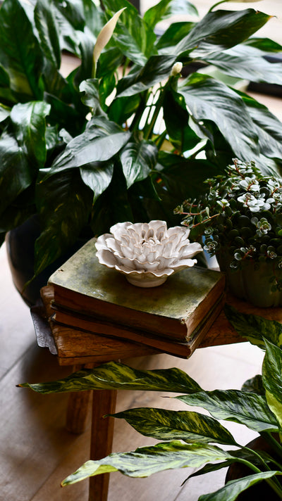 Ceramic White Flower