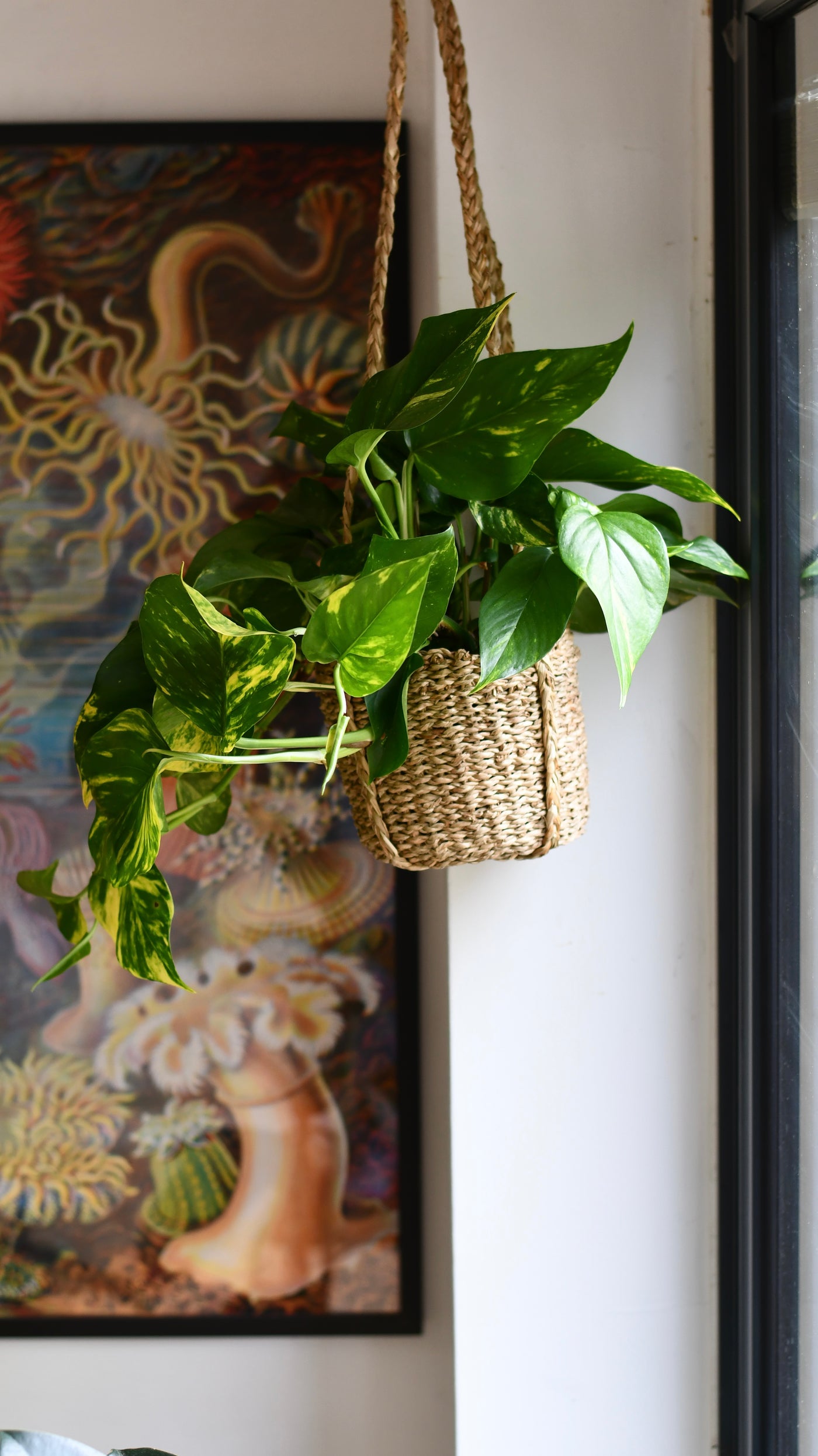 Natural Seagrass Hanging Planter