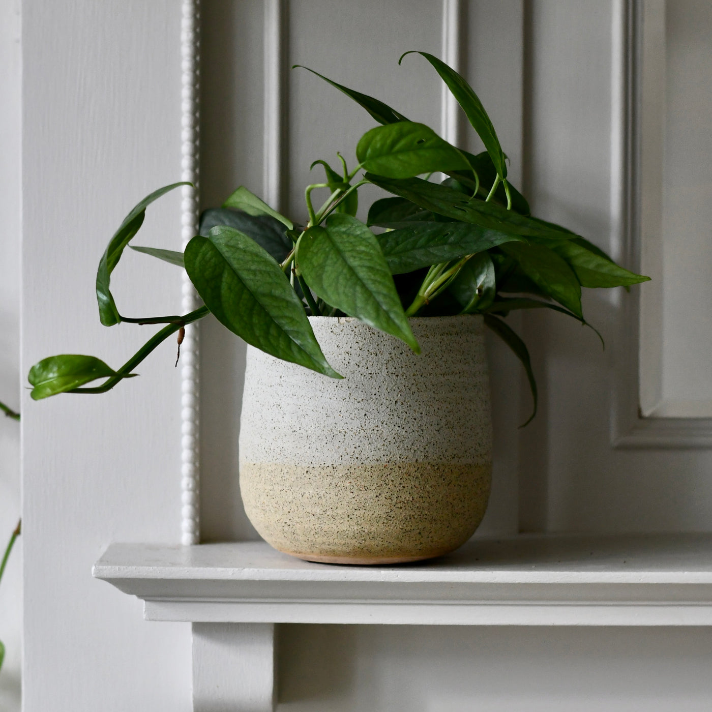 Celeste Cream premium Glaze planter (14cm plant pot)