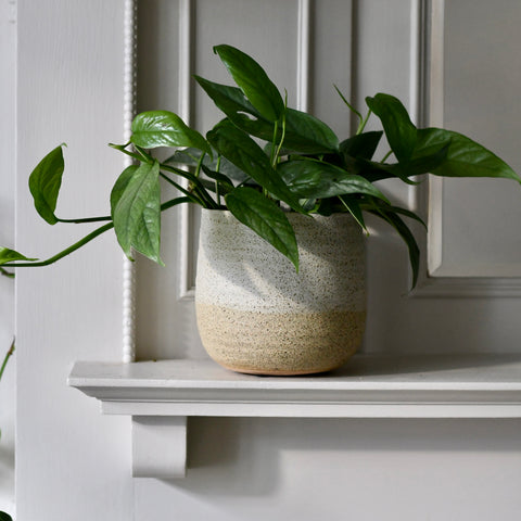 Celeste Cream premium Glaze planter 16cm plant pot