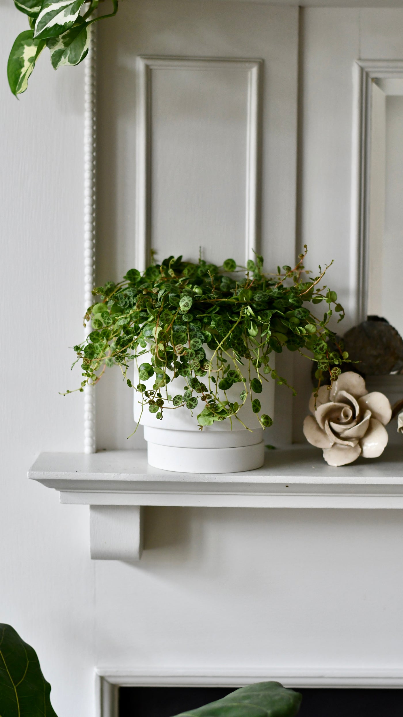 The Camden Collection – 13cm White Ceramic Planter with Saucer