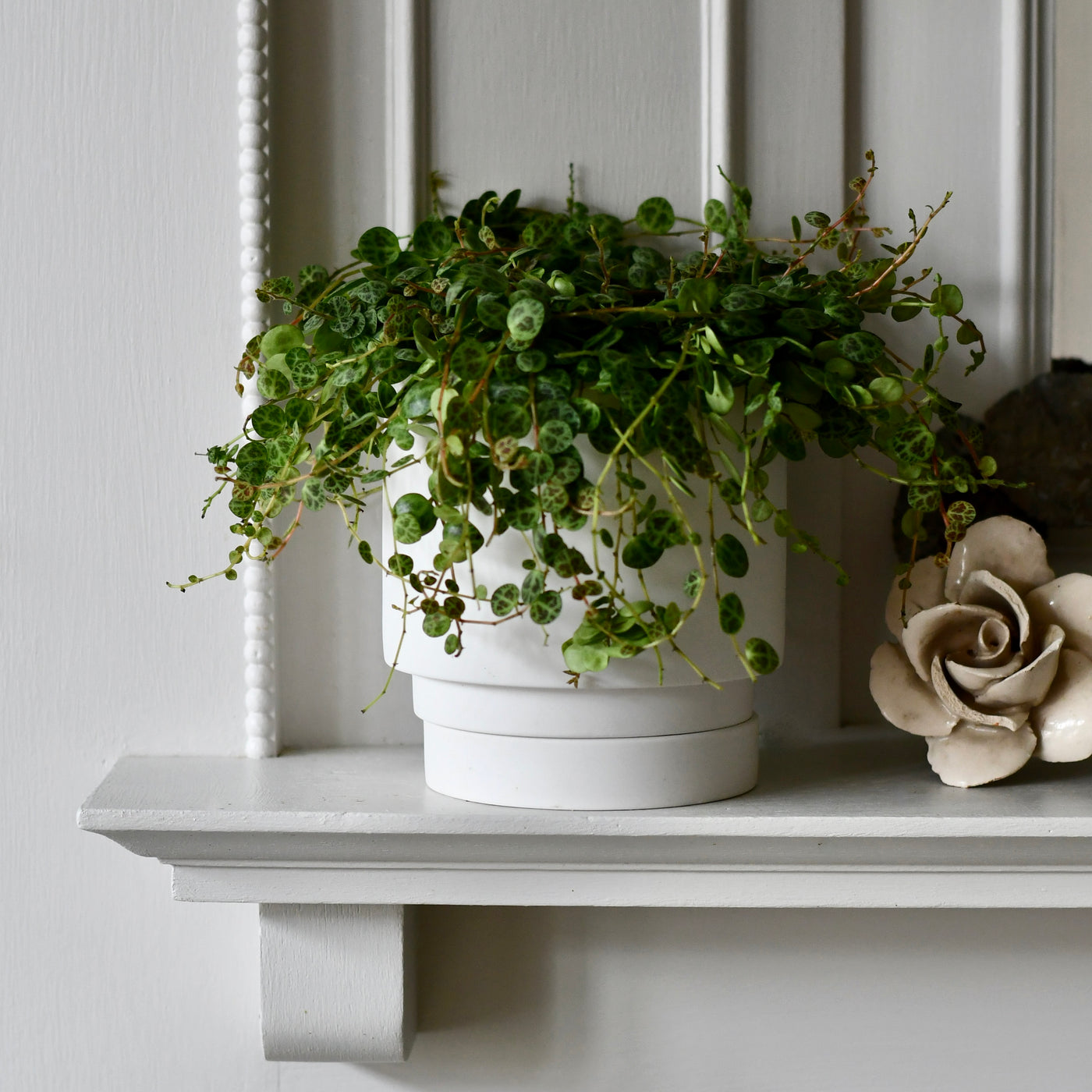 The Camden Collection – 13cm White Ceramic Planter with Saucer