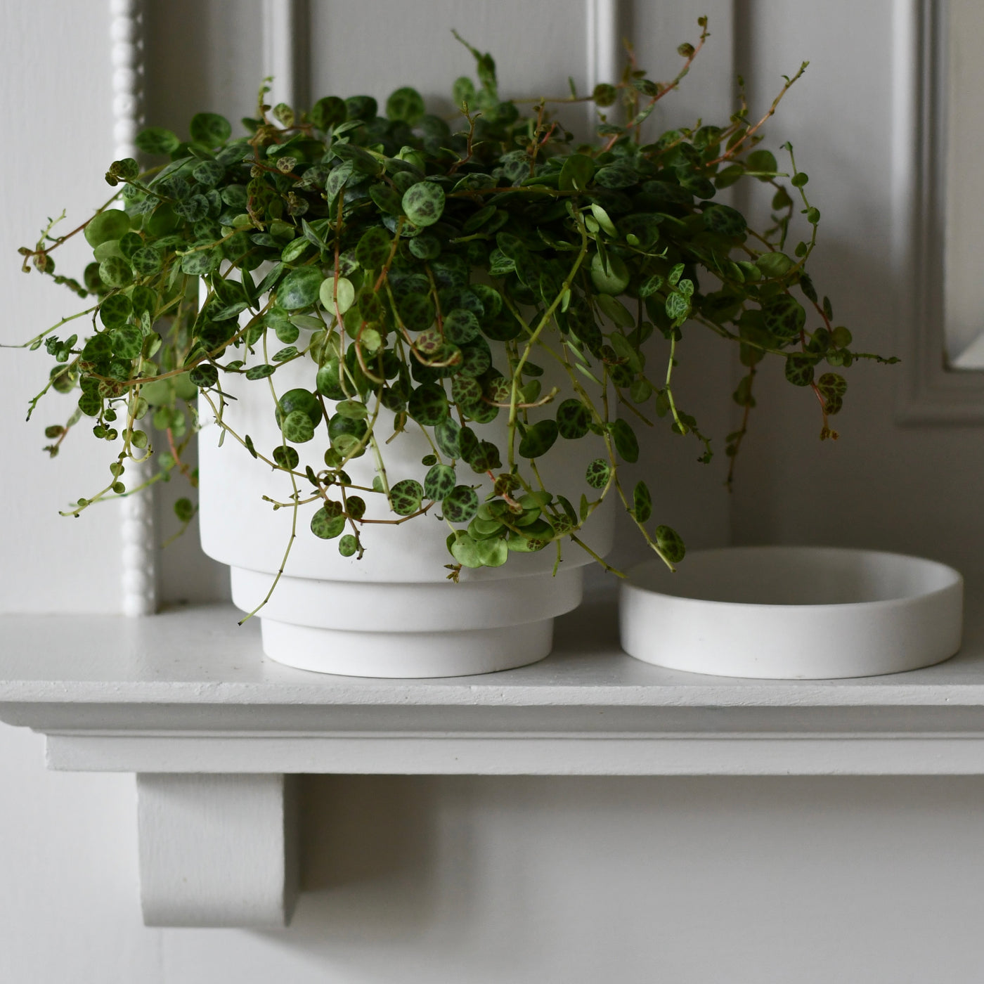 The Camden Collection – 13cm White Ceramic Planter with Saucer