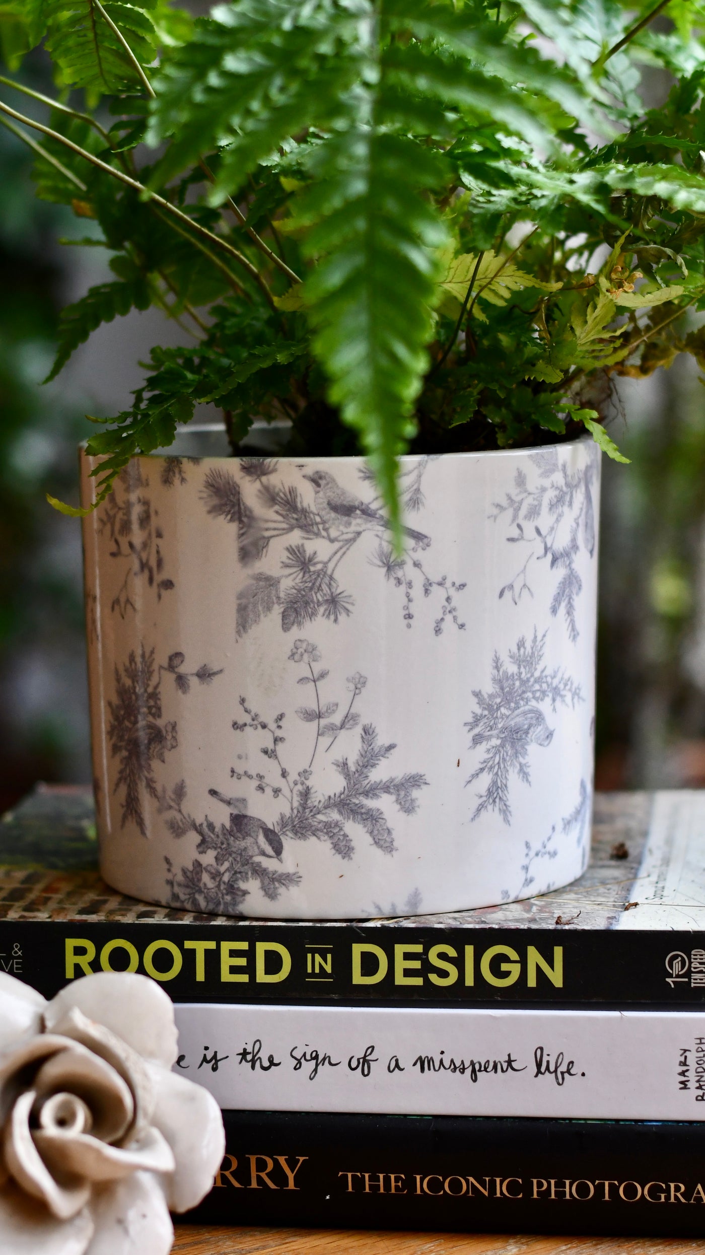 Vintage Style Foliage Indoor Plant Pot – Birds Design, 15cm Ceramic