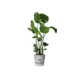 Greenville Round Plant Pot Concrete 25cm