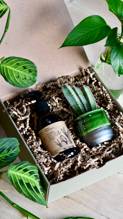 Vegan Cactus & Succulent Food Gift Box