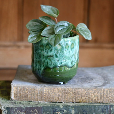 Pisa Emerald Planter | 7cm Pots | Baby plant Pots | Ceramic plot