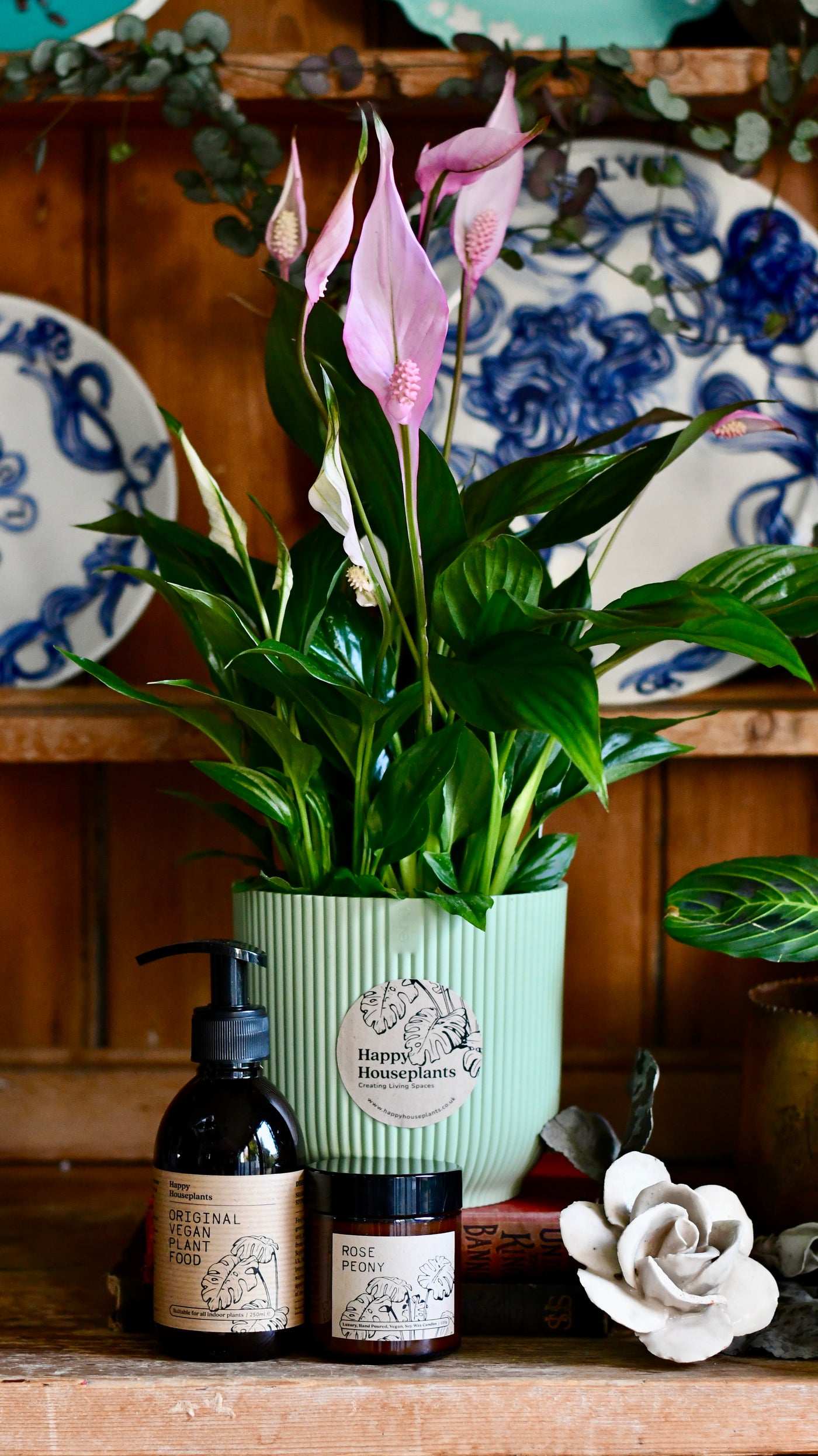 Spathiphyllum Bellini Plant Gift Set with Sorbet Green Elho Pot (Optional Scented Candle & Plant Food)